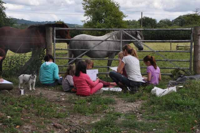 Mid Wales Arts B&B Caersws Esterno foto
